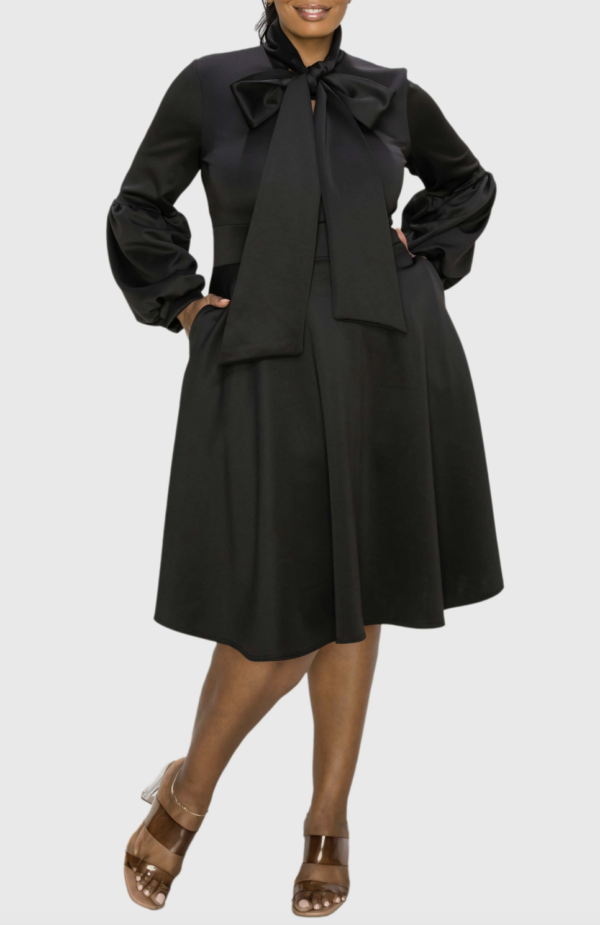 Bekah Long Sleeve Fit & Flare Dress L I V D